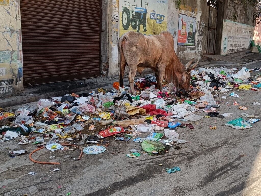 भीनमाल में स्वच्छता का संकट