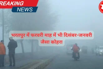 भरतपुर में फरवरी माह में भी दिसंबर-जनवरी जैसा कोहरा