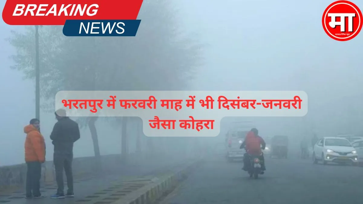भरतपुर में फरवरी माह में भी दिसंबर-जनवरी जैसा कोहरा