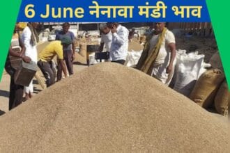 Nenava Mandi Bhav 6 June 2025
