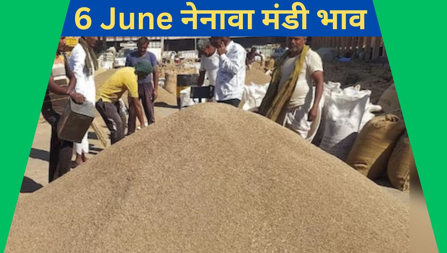 Nenava Mandi Bhav 6 June 2025