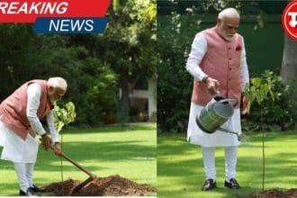 pm Narendra Modi